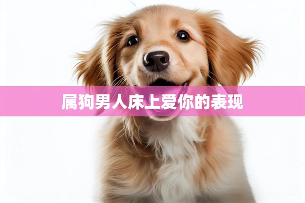 属狗男人床上爱你的表现(如何让你感受到他的真心)