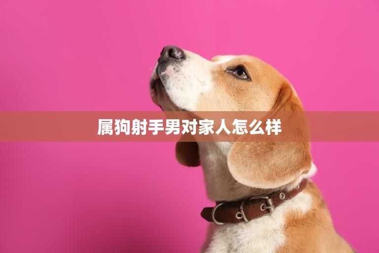 属狗射手男对家人怎么样(家庭观念强有爱)