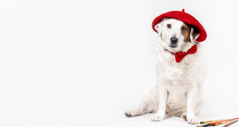 属狗射手座男对异性很好(为何如此受欢迎)