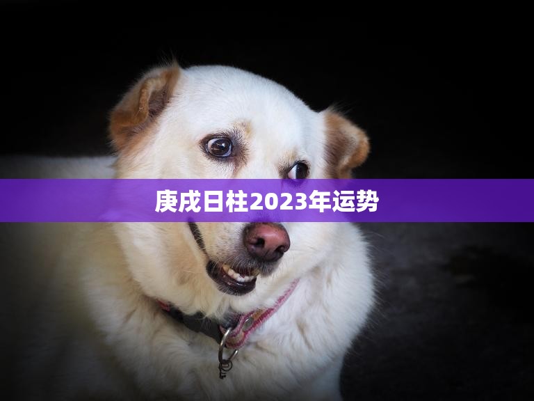 庚戌日柱2023年运势(狗年大展宏图)