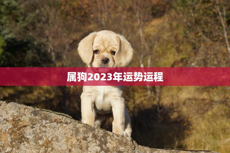 属狗2023年运势运程(狗年大展宏图财运亨通事业顺遂)