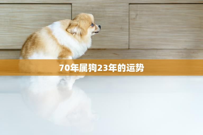 70年属狗23年的运势(狗年大吉财运亨通)