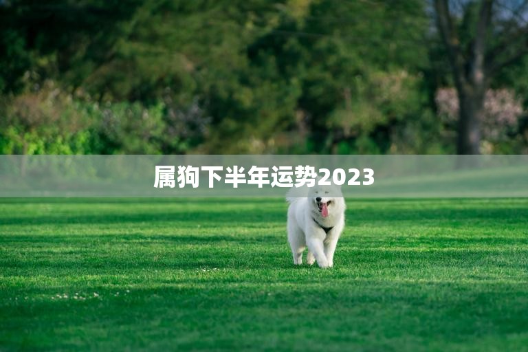 属狗下半年运势2023(事业顺利财运亨通)