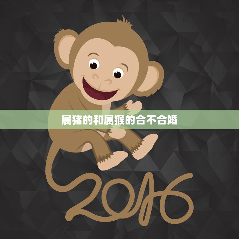 属猪的和属猴的合不合婚(星座配对分析)