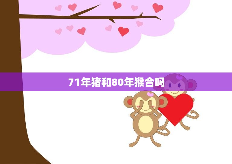 71年猪和80年猴合吗(如何看待这两个生肖的组合)