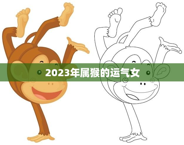 2023年属猴的运气女(事业爆发财运亨通)