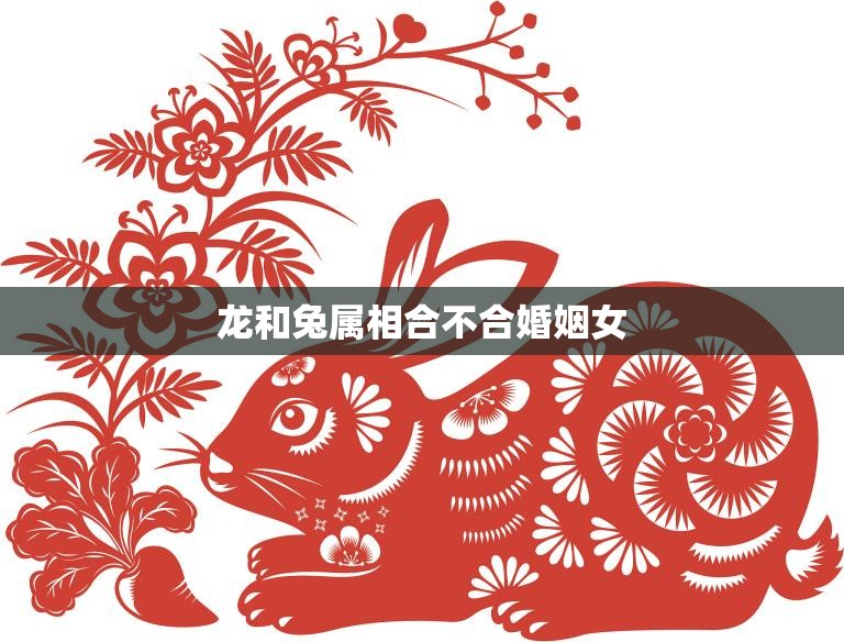 龙和兔属相合不合婚姻女(如何选择最佳伴侣)
