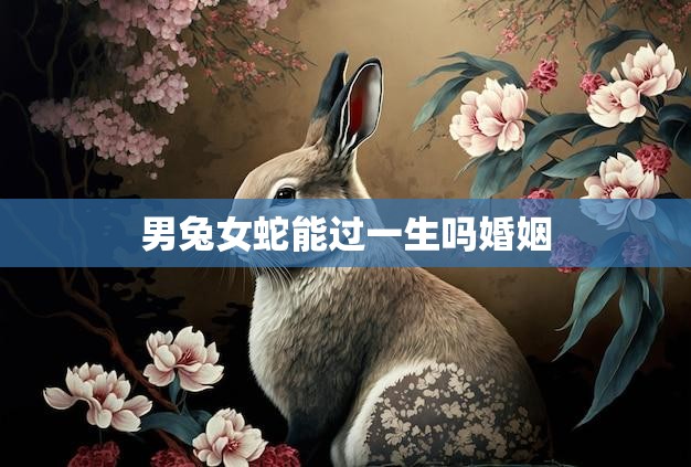 男兔女蛇能过一生吗婚姻(如何避免星座不合的婚姻危机)