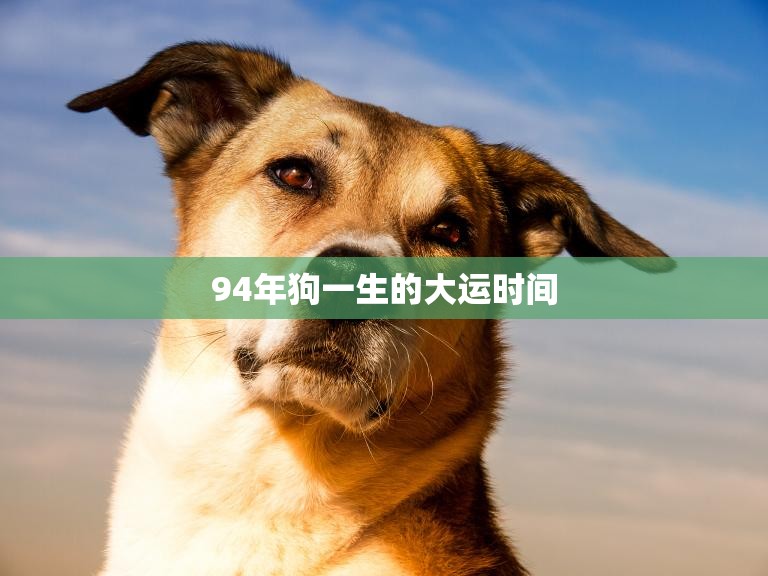 94年狗一生的大运时间(如何影响狗狗的命运)