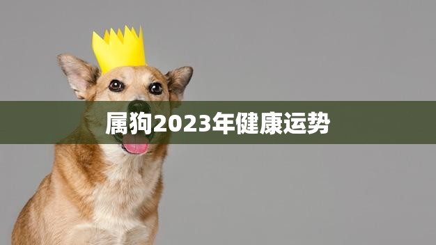 属狗2023年健康运势(健康稳定需注意饮食与运动)