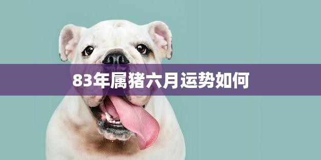 83年属猪六月运势如何(猪朋助力事业财运亨通但需注意身体健康)