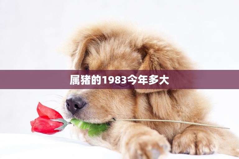 属猪的1983今年多大(猪年本命人的年龄计算方法)