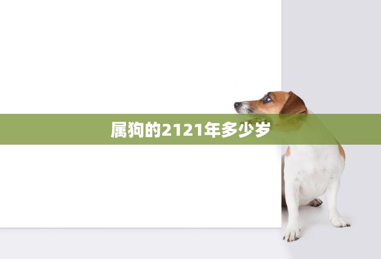 属狗的2121年多少岁(狗年人迎来百岁寿宴)
