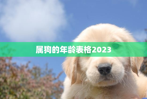 属狗的年龄表格2023(狗年将至你的年龄对照表来啦)