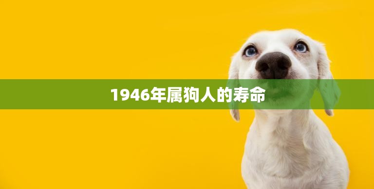 1946年属狗人的寿命(探究长寿的秘密在哪里)