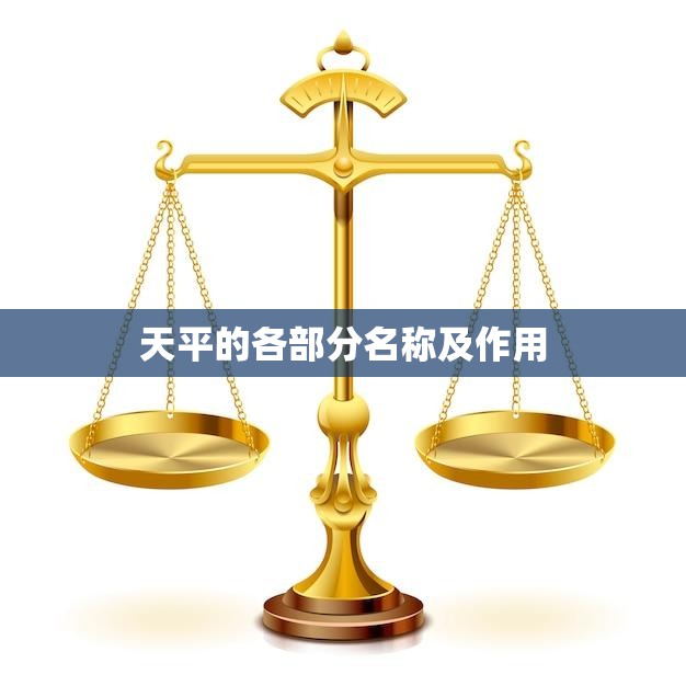 天平的各部分名称及作用(详解称重过程中不可或缺的重要元素)