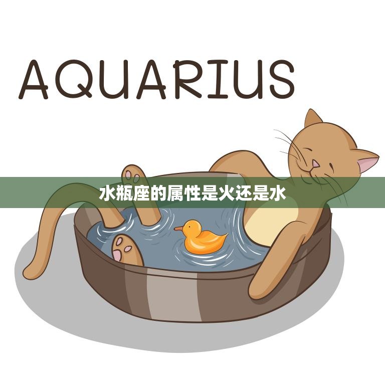 水瓶座的属性是火还是水(解析水瓶座的元素特征)