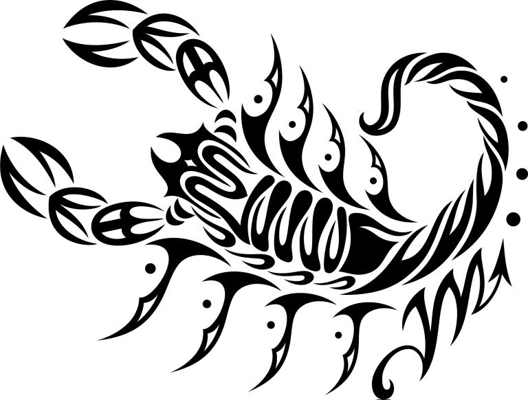 天蝎和射手交界的人性格(探究神秘与冒险的完美结合)