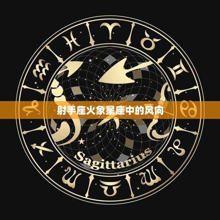 射手座火象星座中的风向(探究热情与自由的平衡)