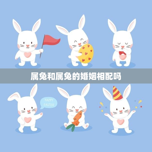 属兔和属兔的婚姻相配吗(探讨两只兔子的爱情是否能长久)