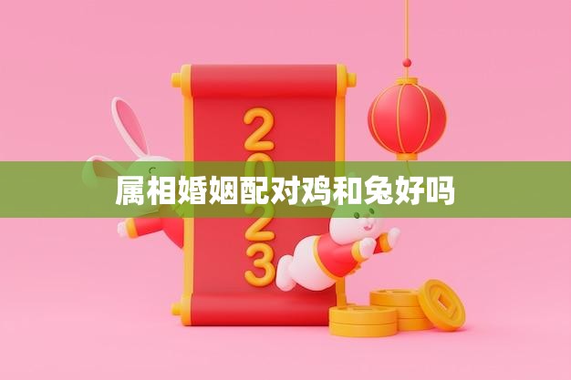 属相婚姻配对鸡和兔好吗(解析属相配对鸡兔组合的婚姻前景如何)