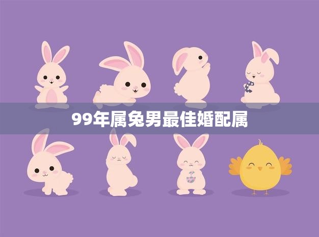99年属兔男最佳婚配属(如何选择最适合的伴侣)
