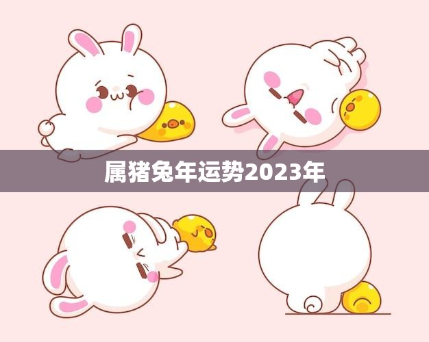 属猪兔年运势2023年(猪兔合作财运亨通)