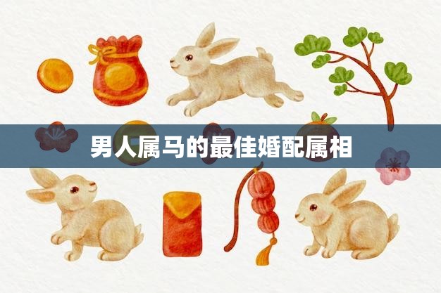 男人属马的最佳婚配属相(你知道吗)
