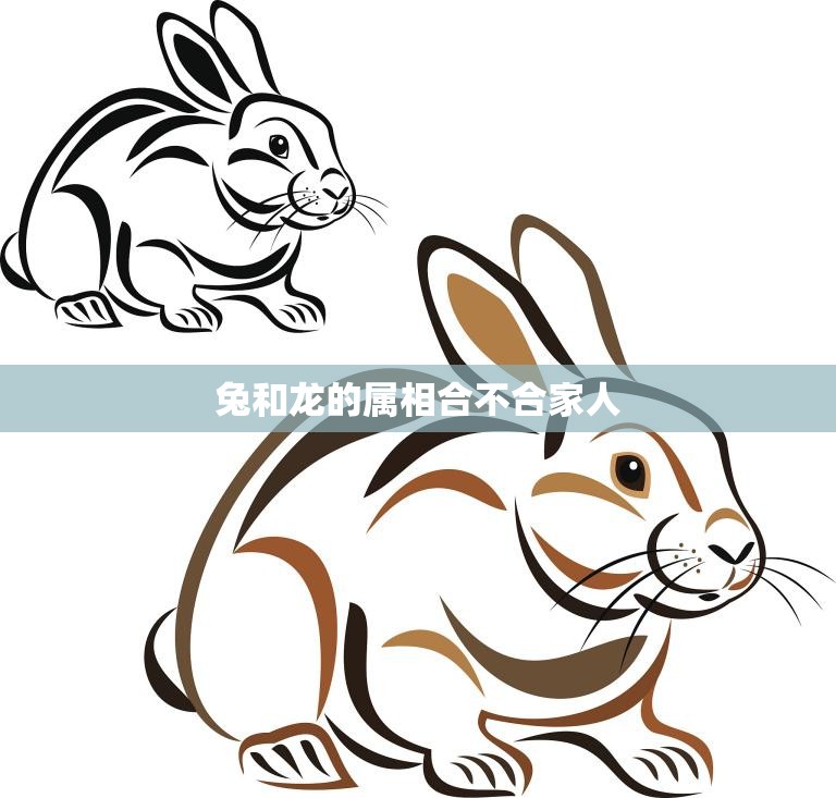 兔和龙的属相合不合家人(如何化解家庭矛盾)
