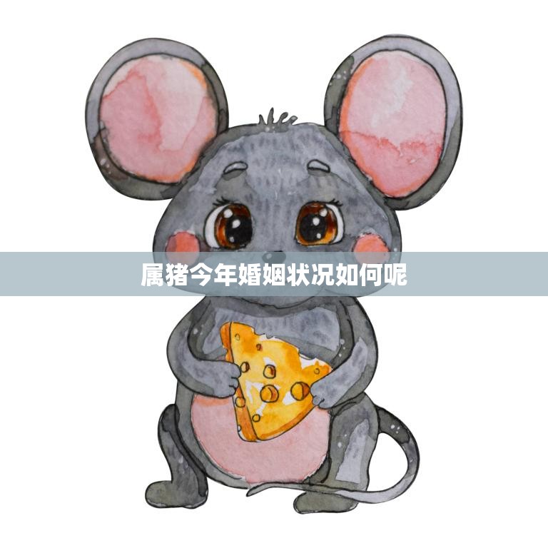 属猪今年婚姻状况如何呢(解析2023年猪年属猪人的婚姻运势)