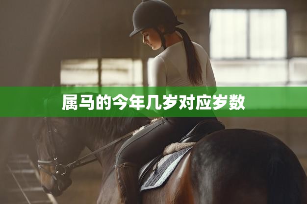 属马的今年几岁对应岁数(马年生肖年龄查询)