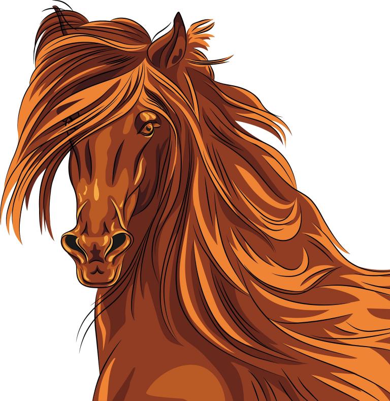 属羊女和马相配婚姻如何(幸福的秘诀)