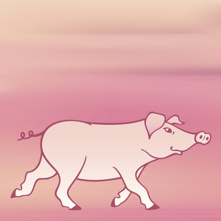 95属猪女性格和爱情观(探究浪漫多情还是理性派)