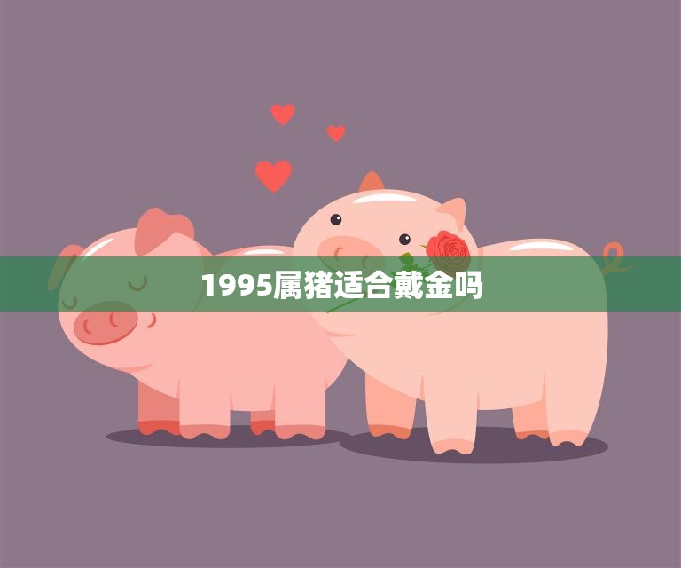 1995属猪适合戴金吗(探究黄金是否适合属猪人佩戴)