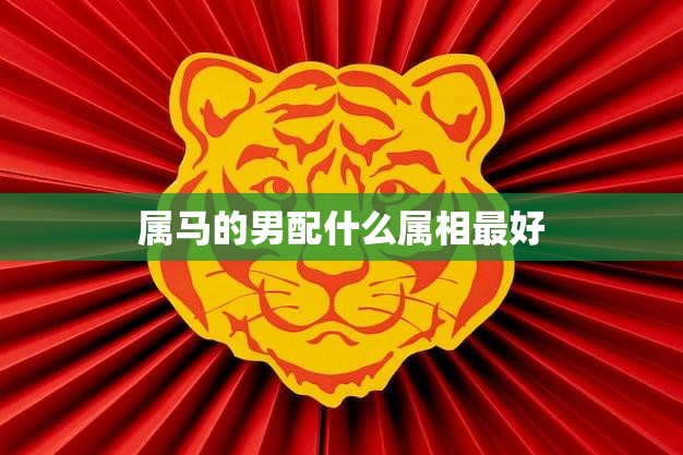 属马的男配什么属相最好(如何选择最佳配偶)