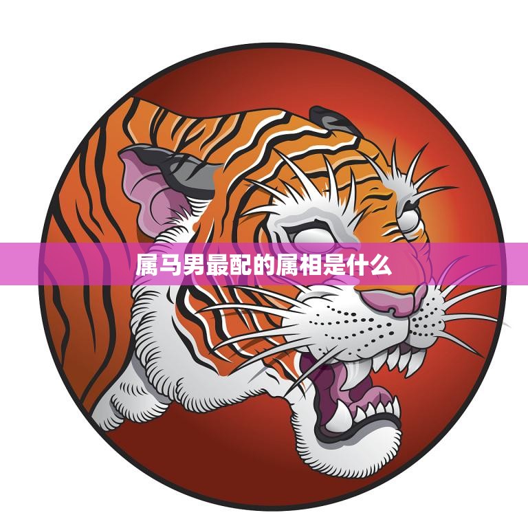 属马男最配的属相是什么(揭秘十二生肖中最佳配对)