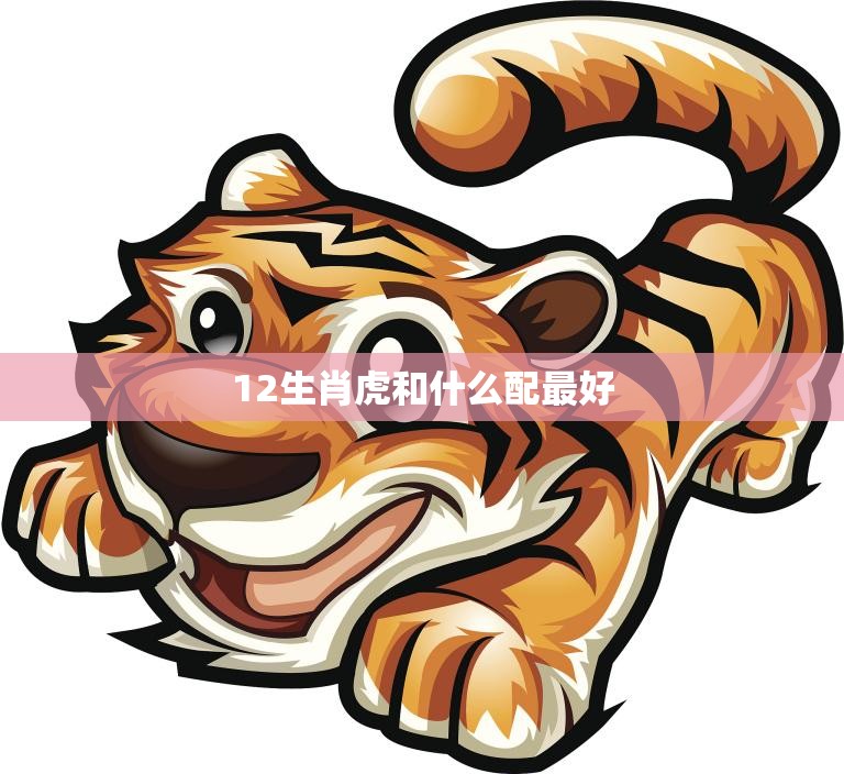 12生肖虎和什么配最好(最佳搭档大揭秘)