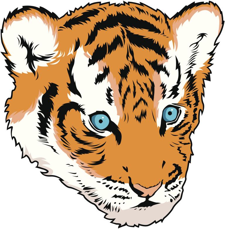 老虎和老虎配不配做夫妻(探讨同类相恋是否可行)