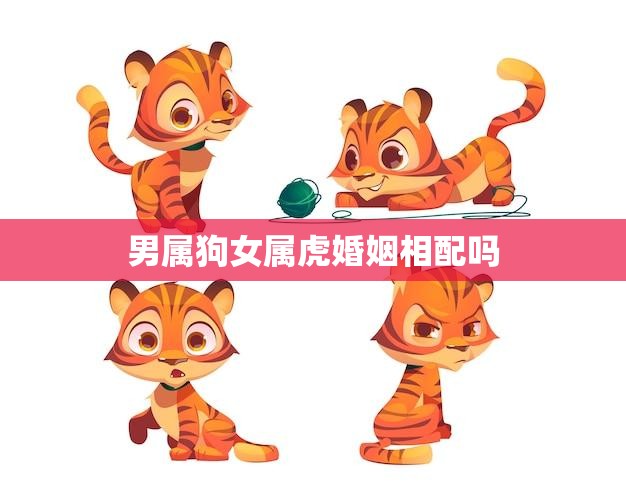 男属狗女属虎婚姻相配吗(解析星座配对的秘密)