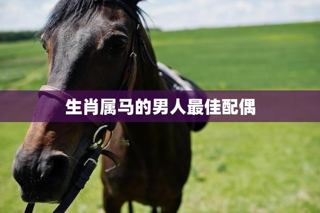 生肖属马的男人最佳配偶(为何选择这样的女人)