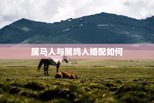 属马人与属鸡人婚配如何(星座配对分析)