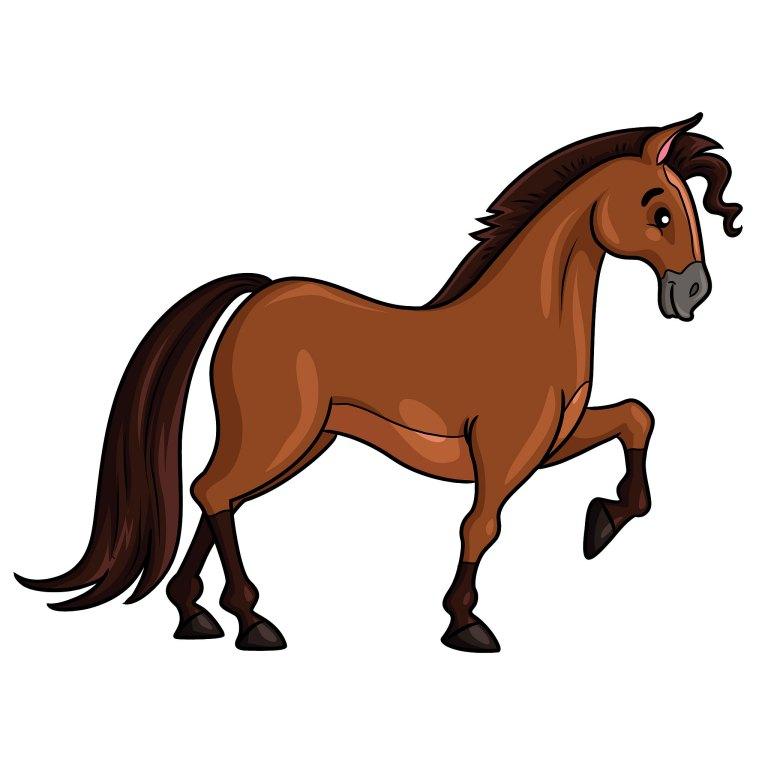 属马跟属马的婚姻相配吗(星座专家揭秘)