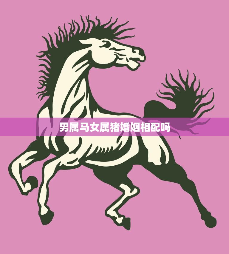 男属马女属猪婚姻相配吗(星座专家揭秘)