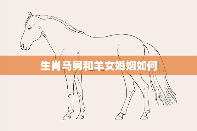 生肖马男和羊女婚姻如何(幸福还是坎坷不堪)