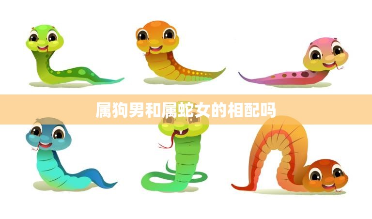 属狗男和属蛇女的相配吗(解析命理学上的真相)