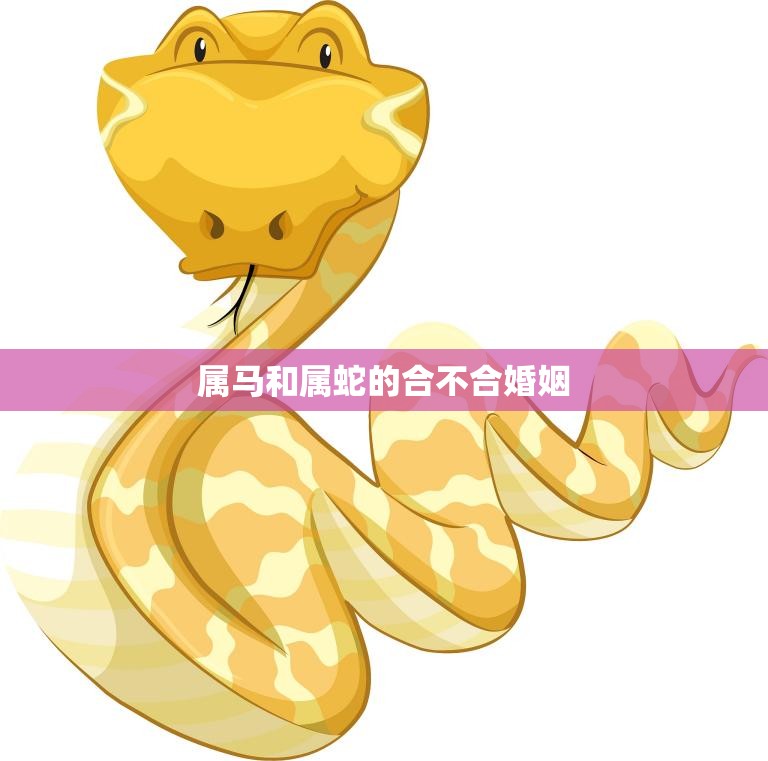 属马和属蛇的合不合婚姻(星座配对分析)