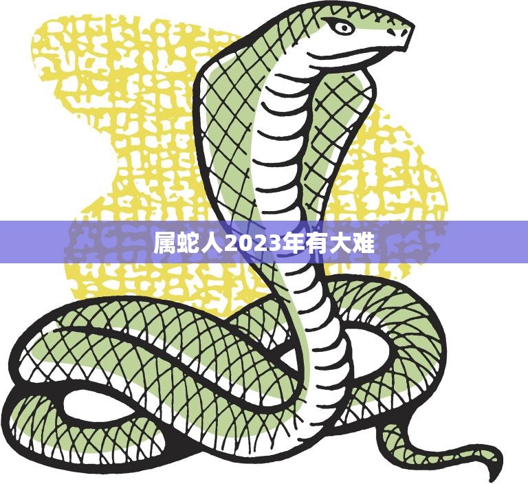 属蛇人2023年有大难(如何化解)
