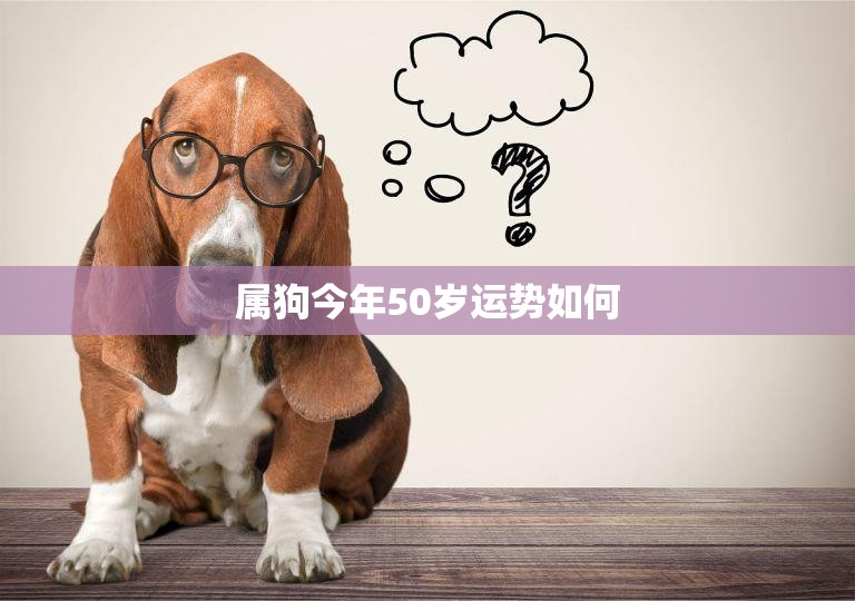 属狗今年50岁运势如何(解析属狗人在五十岁的命运走向)