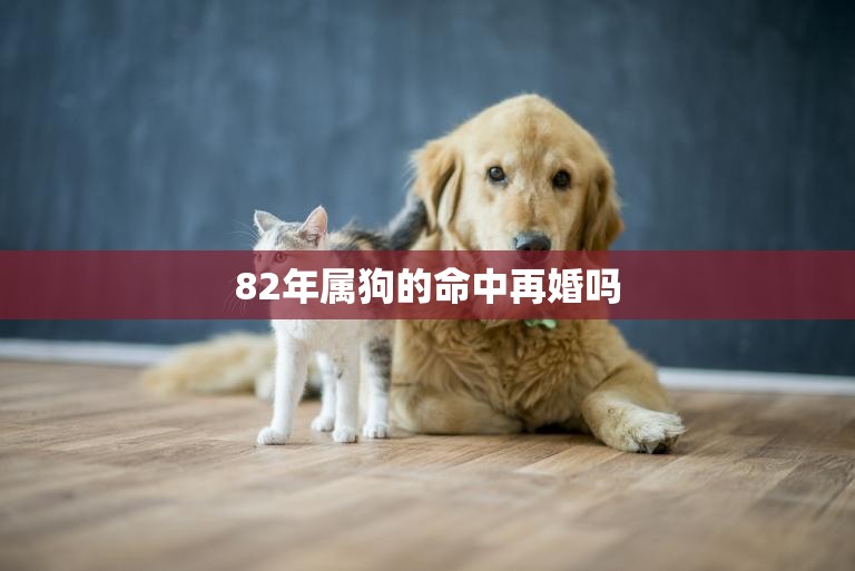 82年属狗的命中再婚吗(狗年再婚运势解析)