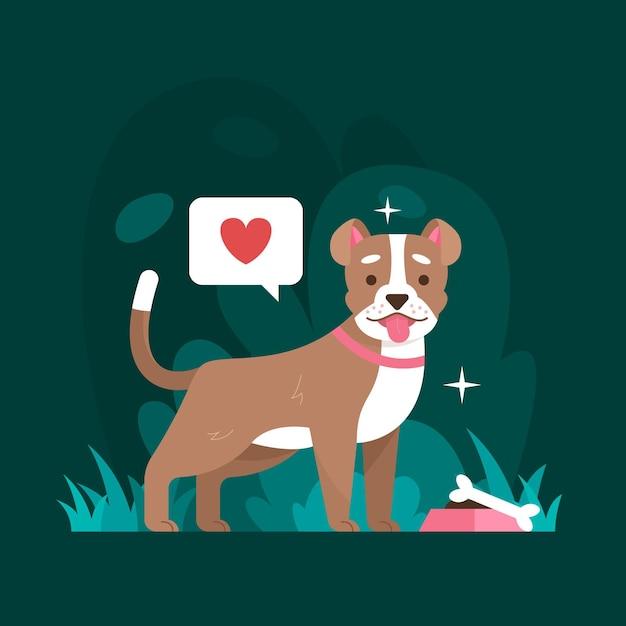 94年狗和95猪合不合(谁更适合你)